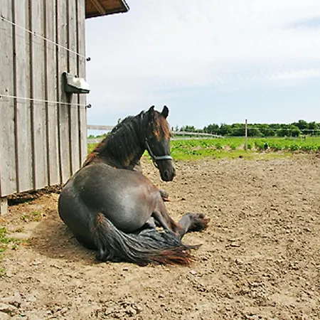 아파트 Willi Stilow